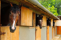 free Badsey stable construction quotes
